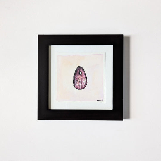 She Sells Seashells Set - Dusky Tegula & Keyhole Limpet Set - Original Paintings by Briana Feola