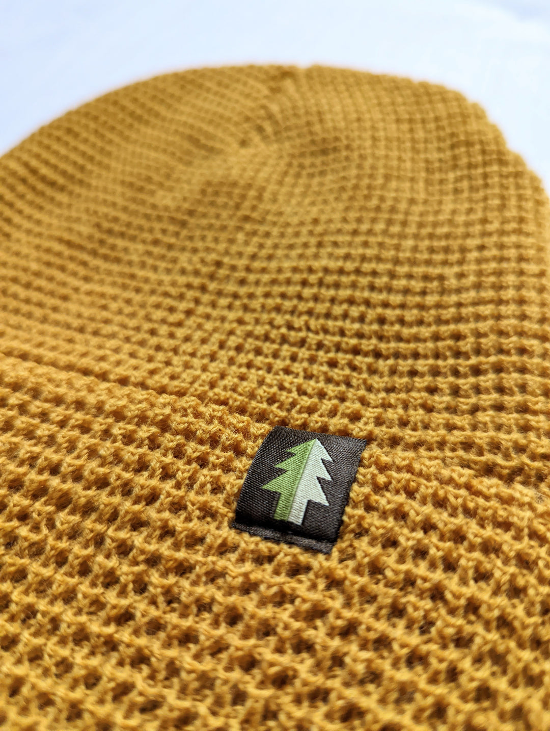 Brainstorm Knit Beanie - Pine Fresh